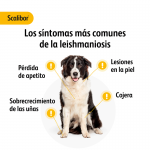 Scalibor Perro Grande Pack Ahorro 3 collares (65cm)