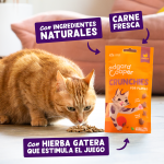 Edgard & Cooper Crunchies Galletitas de Pollo Snack para Gatos