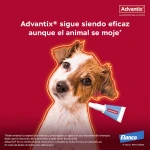 Advantix-0-4 KG Pipetas Triple Protección (1)