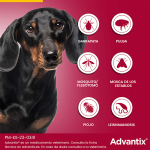 Advantix Pack Ahorro 12 pipetas para perros mini (0-4KG)