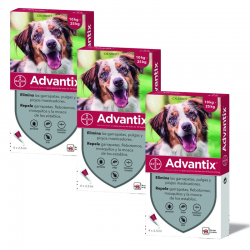 Advantix Pack Ahorro 12 pipetas para para perros medianos (10-25kg)