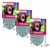 Advantix Pack Ahorro 12 pipetas para para perros grandes (+25kg)