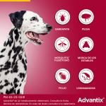 Advantix Pack Ahorro 12 pipetas para para perros grandes (+25kg)