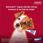 Advantix Pack Ahorro 8 pipetas para perros grandes (+25kg) 