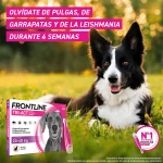 Frontline-Tri-Act 20-40 KG (1)