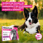 Frontline Tri-Act Pack Ahorro 12 pipetas para perros medianos (10-20KG)