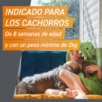 Pack Súper Protección: Frontpro Comprimidos Masticables 4-10kg + Frontline Tri-Act 3 pipetas (5-10kg) para perros pequeños
