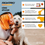 Pack Súper Protección: Frontpro Comprimidos Masticables 25-50kg + Frontline Tri-Act 3 pipetas (20-40kg) para perros grandes