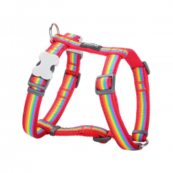 RedDingo Arnés para Perros Rainbow