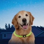 Collar de Luz Led Verde para Perros Nite Ize Nitehowl