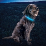 Banda de Luz Led Recargable para Collar de Perros Nite Ize NiteDog