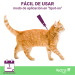 Pack Súper Protección: collar Seresto para gatos + Vectra Felis 3 pipetas gato