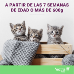 Pack Súper Protección: collar Seresto para gatos + Vectra Felis 3 pipetas gato