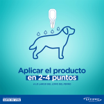 Effipro Spot On Pack Ahorro 12 pipetas para perros medianos (10-20kg)