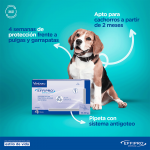 Effipro Spot On Pack Ahorro 12 pipetas para perros medianos (10-20kg)
