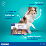 Effitix antiparasitario Pack Ahorro 8 pipetas para perros grandes (20-40kg)