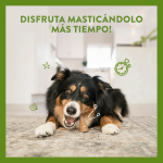 Whimzees Antler L Snack Dental Para Perro Grande