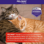 Feliway-Pack Recambio Feliway Friends (1)
