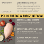 Givers Pienso Natural Para Cachorros con Pollo y Arroz Integral
