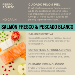 Givers Pienso Natural Para Perros de Razas Medianas y Grandes con Salmón