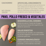 Givers Comida Húmeda Natural Para Cachorros con Pavo, Pollo y Vegetales