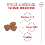 Royal Canin-Mini Puppy (1)