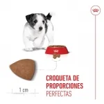 Royal Canin-Mini Puppy (1)