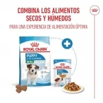 Royal Canin-Mini Puppy (1)