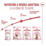 Royal Canin-Kitten (1)