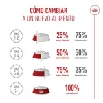 Royal Canin-Kitten (1)