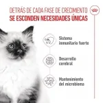 Royal Canin-Kitten (1)
