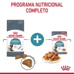 Royal Canin-Hairball Eliminacion Bolas Pelo. (1)