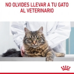 Royal Canin-Hairball Eliminacion Bolas Pelo. (1)