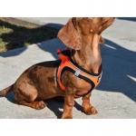 Nayeco X-TRM Neo Arnés Para Perros Naranja