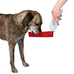Bebedero Viaje Botella Trixie 500 Ml Para Perro