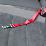 Arnes Con Cinturon Seguridad Coche Trixie Para Gato