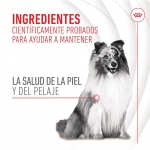 Royal Canin Skin & Coat Chews Suplemento Alimenticio para Perros Piel y Pelaje