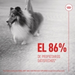 Royal Canin Skin & Coat Chews Suplemento Alimenticio para Perros Piel y Pelaje