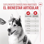 Royal Canin Joint & Ageing Chews Suplemento Alimenticio para Perros Movilidad