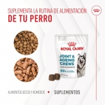 Royal Canin Joint & Ageing Chews Suplemento Alimenticio para Perros Movilidad