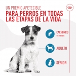Royal Canin Training Treats Snack Para Perros