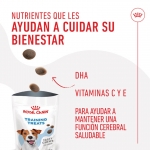 Royal Canin Training Treats Snack Para Perros
