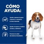 Hills Prescription Diet Weight Reduction r/d Comida Húmeda para Perros
