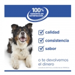 Hills Science Plan Hypoallergenic Medium Pienso Para Perros con Salmón