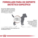 Royal Canin Veterinary Gastrointestinal Low Fat Small Pienso Para Perros Pequeños