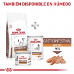 Royal Canin Veterinary Gastrointestinal Low Fat Small Pienso Para Perros Pequeños