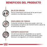 Royal Canin Veterinary Gastrointestinal Low Fat Small Pienso Para Perros Pequeños