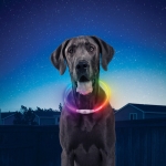 Nite Ize Nite Howl Collar Luz LED Para Perros Recargable