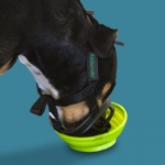 Beeztees Baskerville Bozal Para Perros