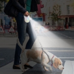 Fida Correa Extensible Para Perros Medianos y Grandes con Luz LED Color Blanco